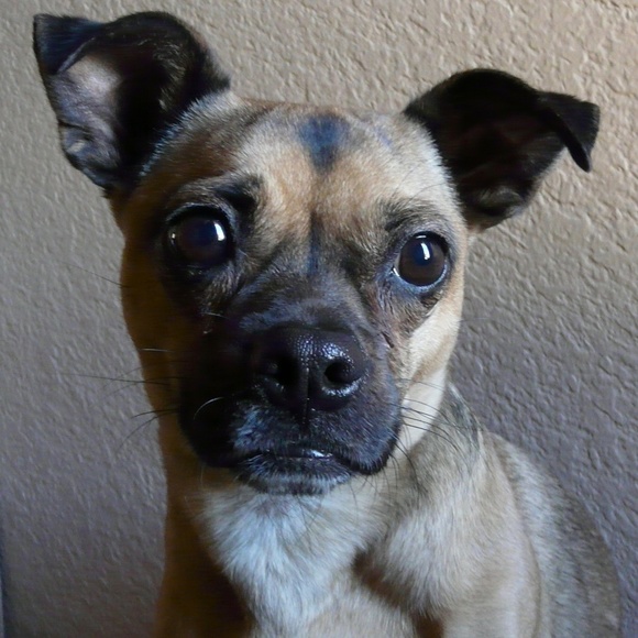 COOTIES UPDATE - Picture 2 of 2